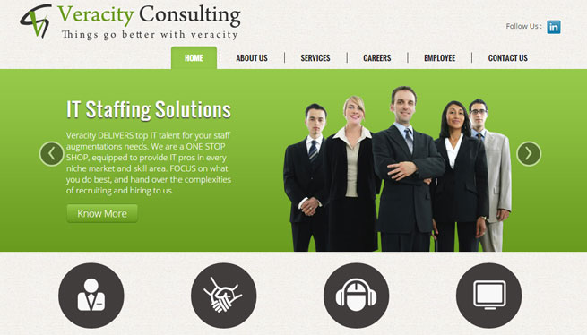 Veracity Consulting